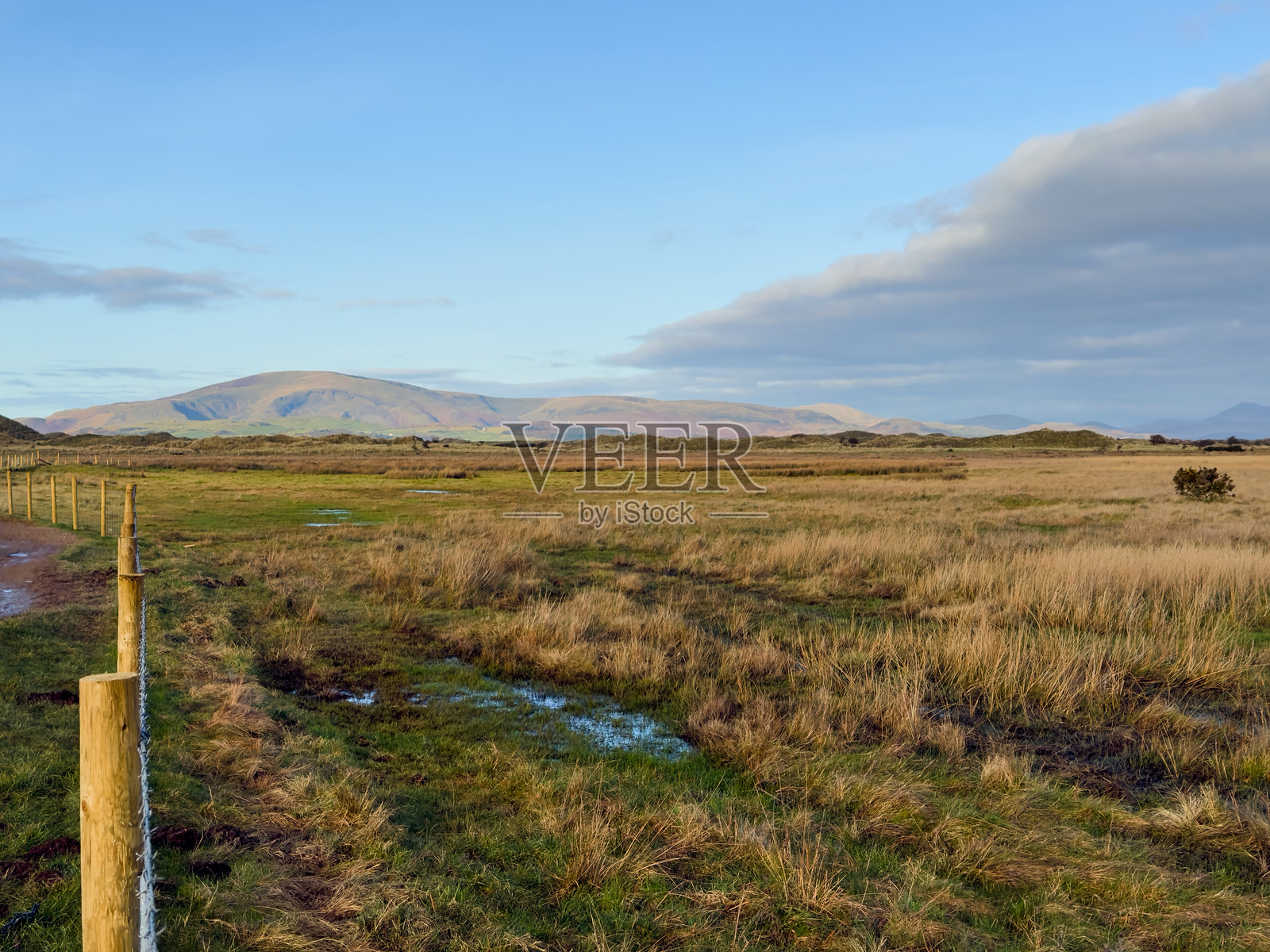 远处的山丘与湿地草甸照片摄影图片