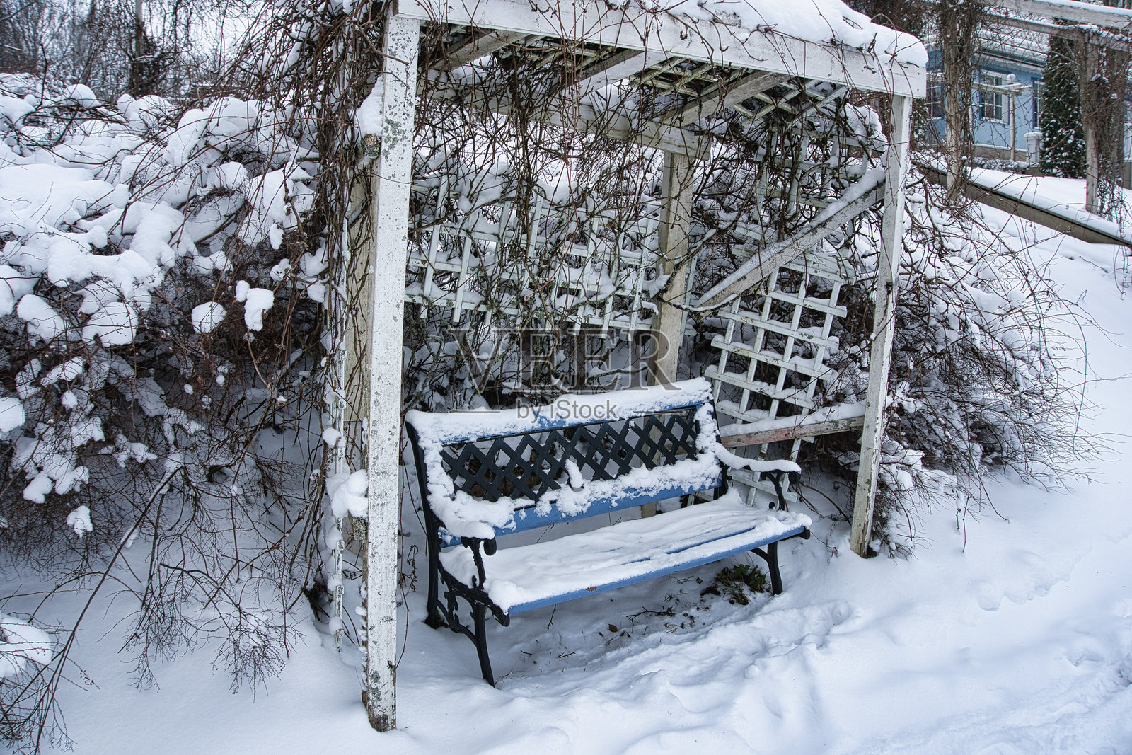 冬日静谧——爱沙尼亚雪中凉棚下的蓝色花园长椅照片摄影图片