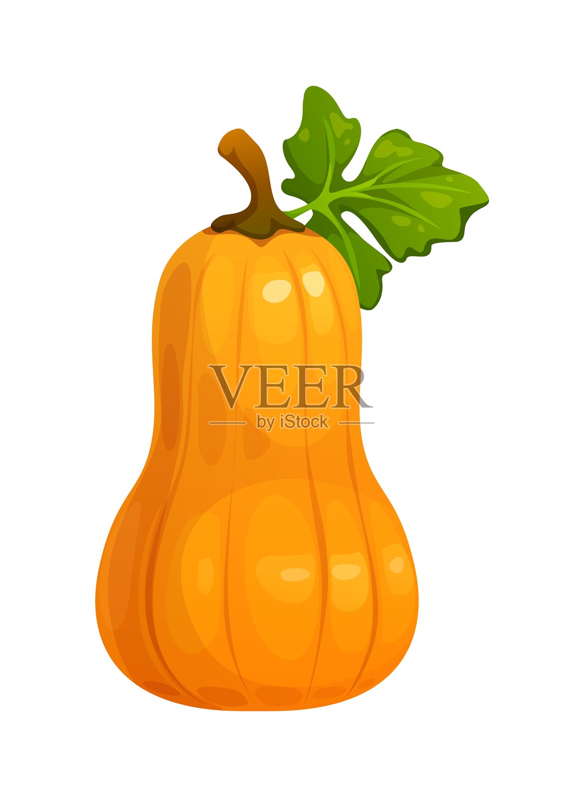 卡通南瓜秋季感恩节蔬菜插画图片素材