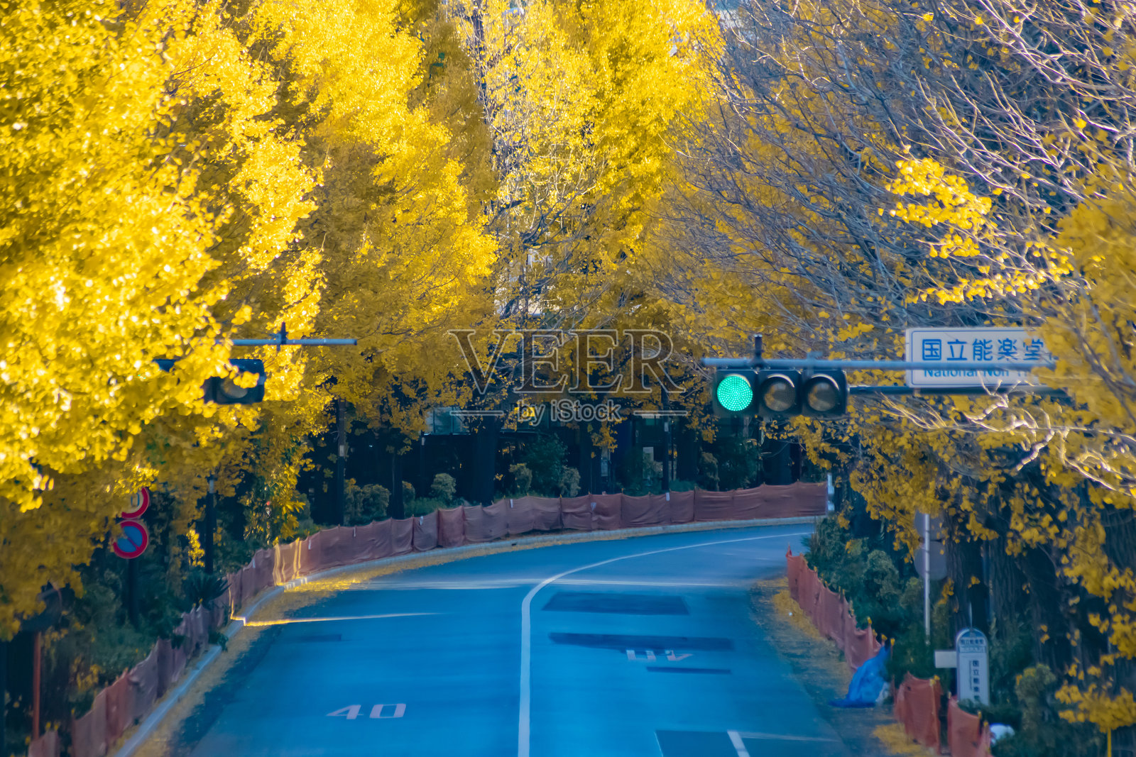 秋季的银杏城市空荡街道的城市景观，长焦镜头拍摄照片摄影图片