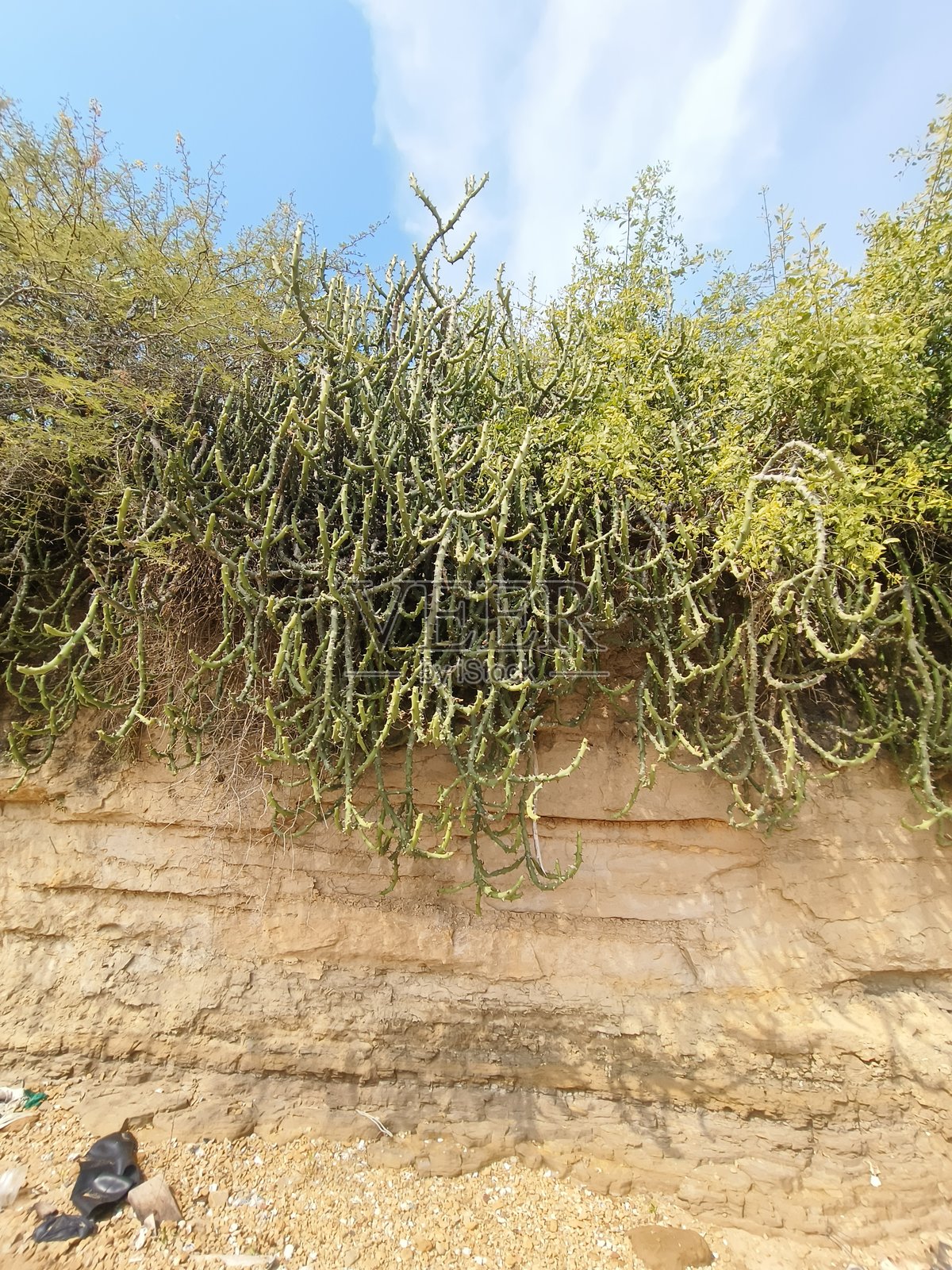 水土流失照片摄影图片