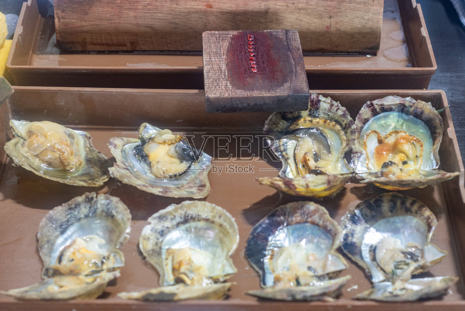 越南广宁省珍珠养殖场的牡蛎照片摄影图片