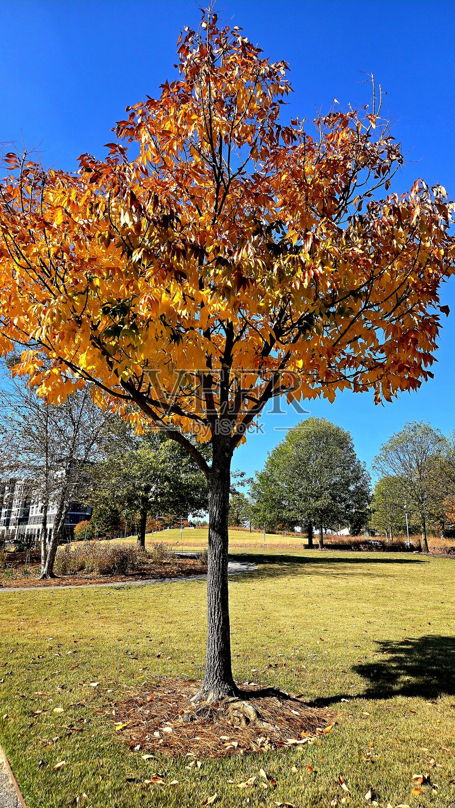 在铁路公园秋日漫步照片摄影图片