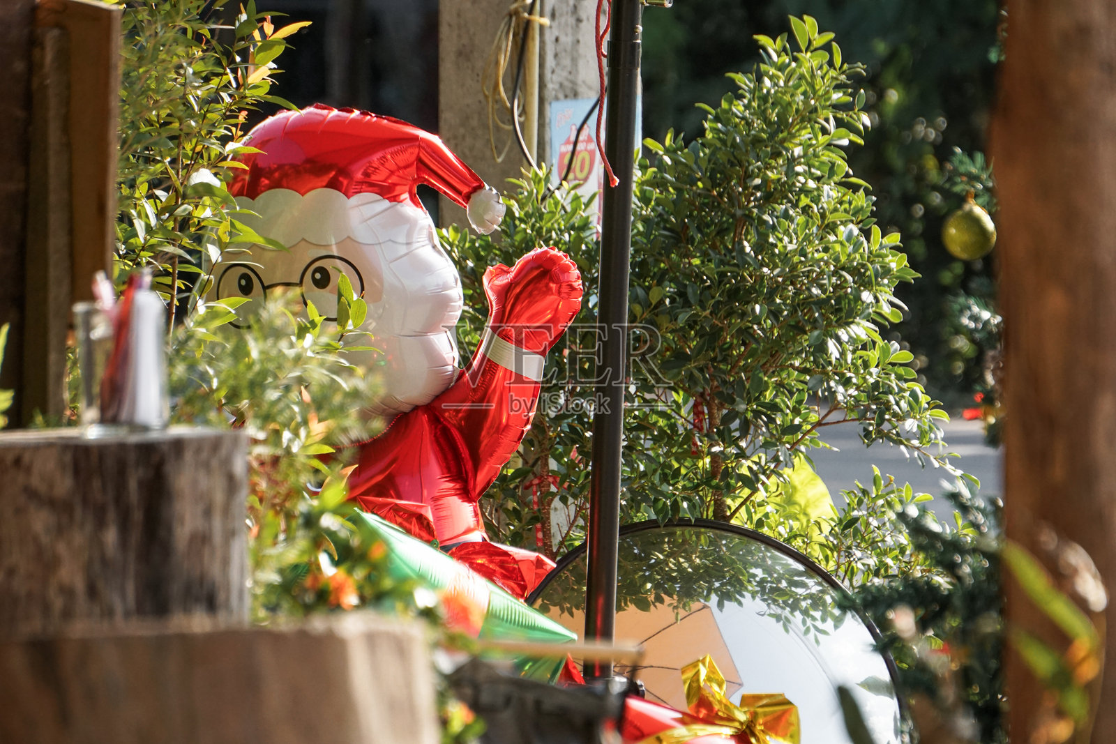 花岗岩上空灵的花朵照片摄影图片