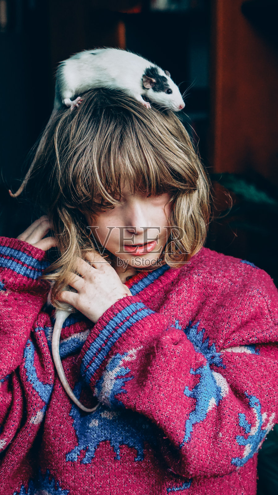 孩子与宠物老鼠——在舒适的室内灯光下玩耍嬉戏，建立亲密关系照片摄影图片