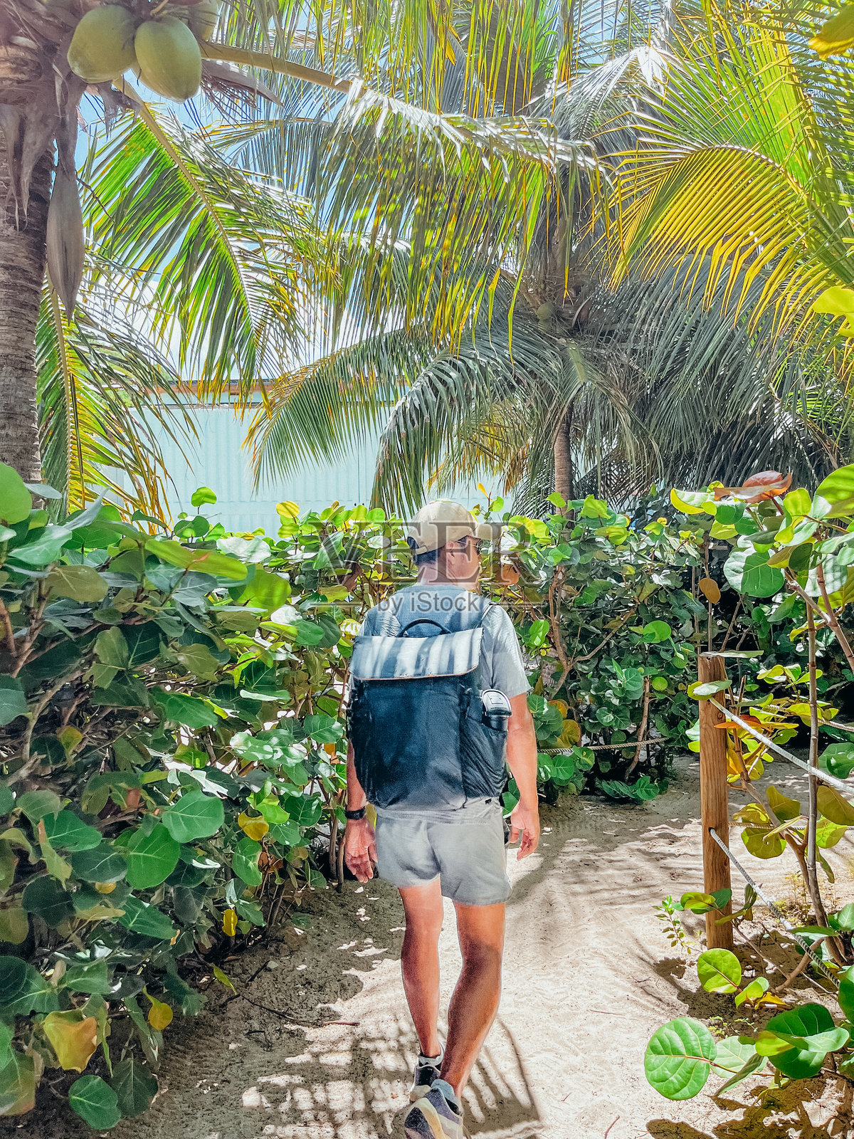 男人走在热带花园小径上照片摄影图片