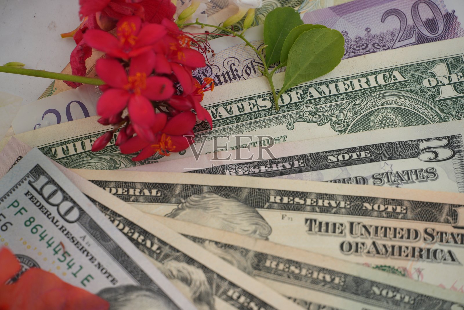 一叠美元纸币，上面装饰着红色的花朵。照片摄影图片