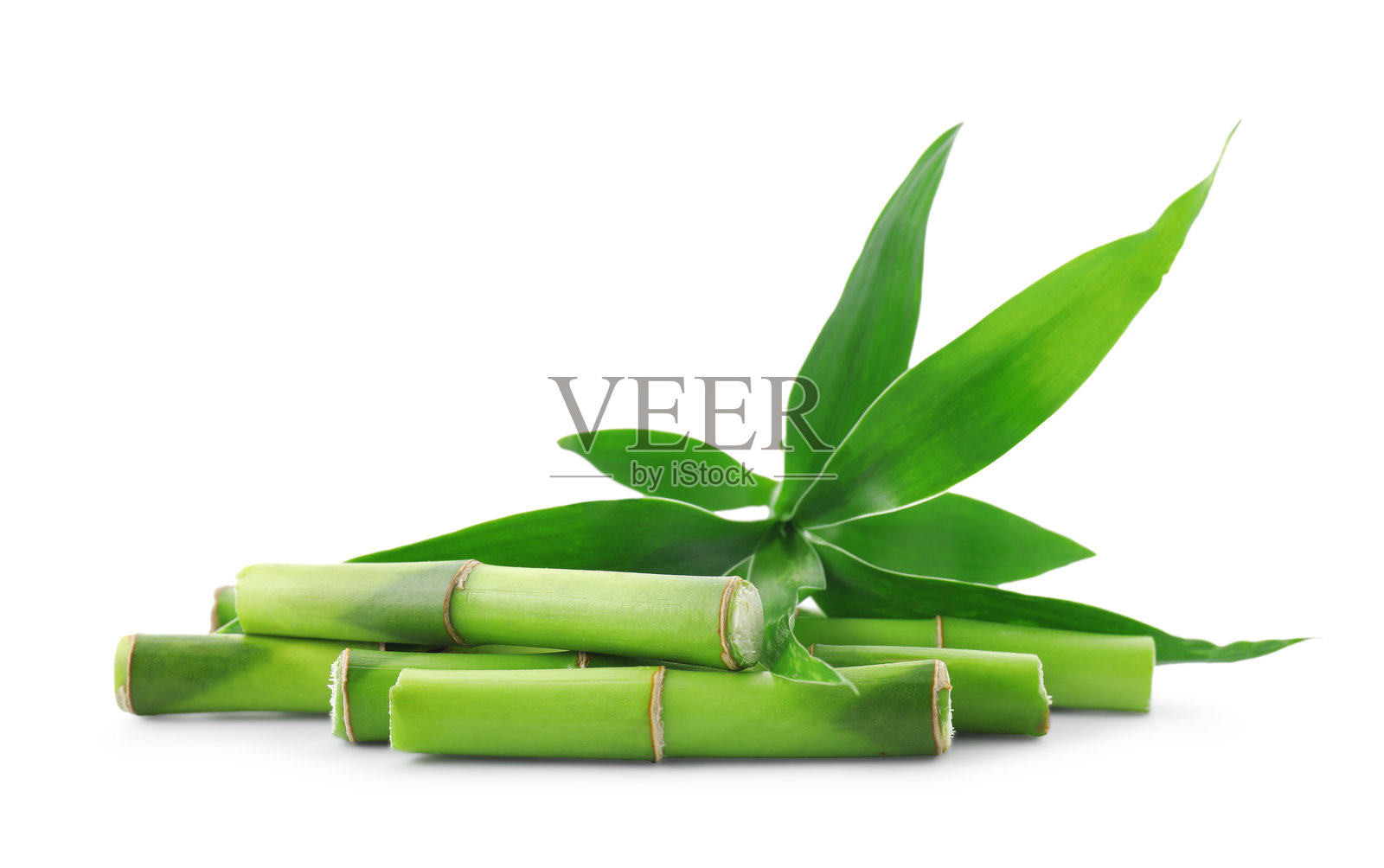 切好的绿色竹子茎和叶，孤立在白色背景上照片摄影图片