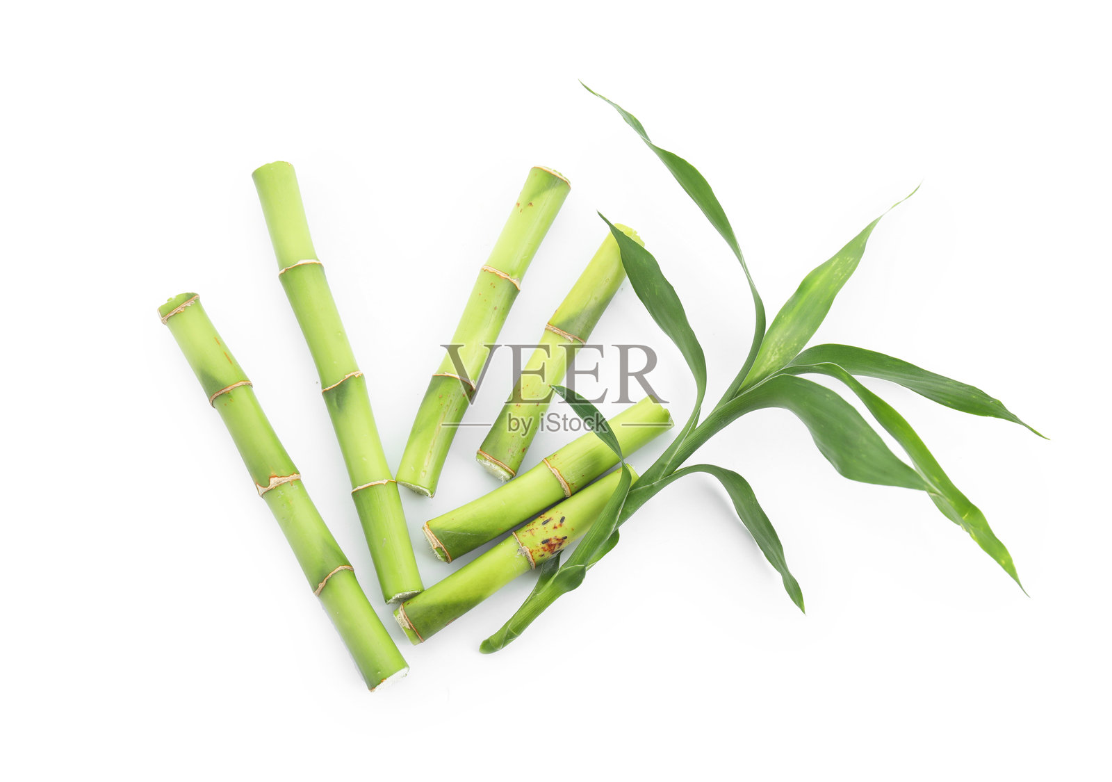剪下的绿色竹子枝叶，纯白背景，俯视视角照片摄影图片