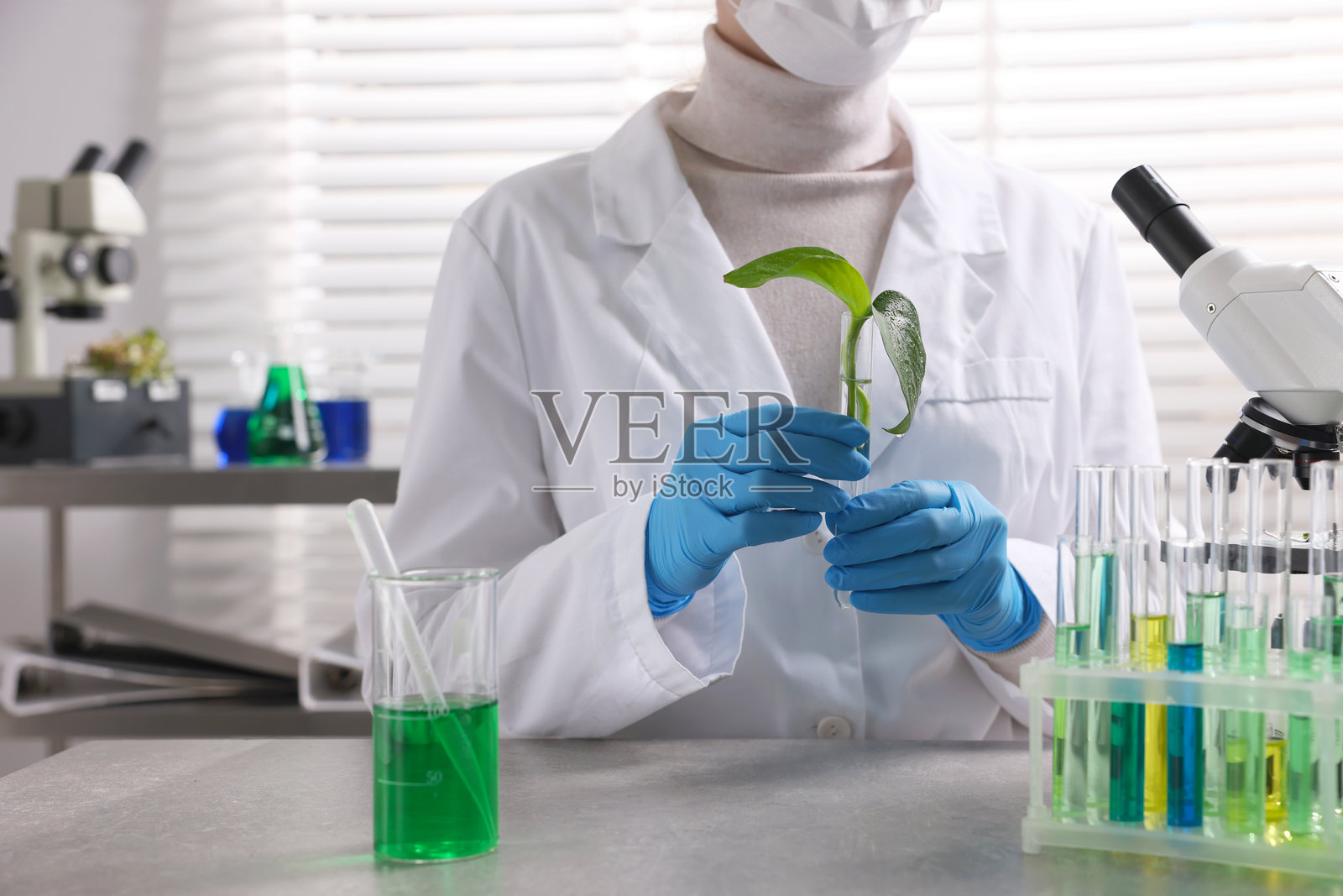 生物化学。科学家在灰色桌子旁研究植物和液体，特写照片摄影图片