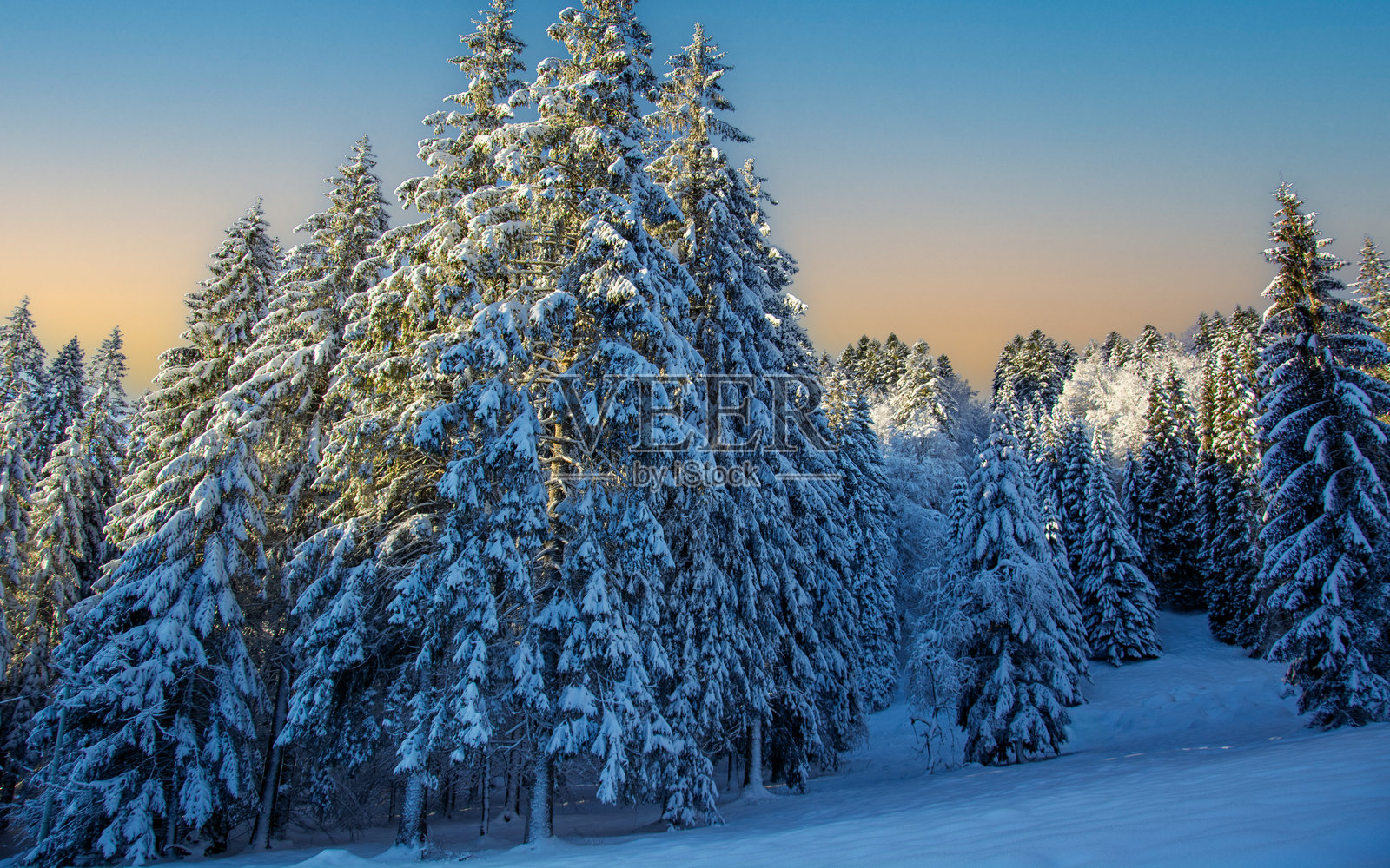 雪林后的绝美日落照片摄影图片