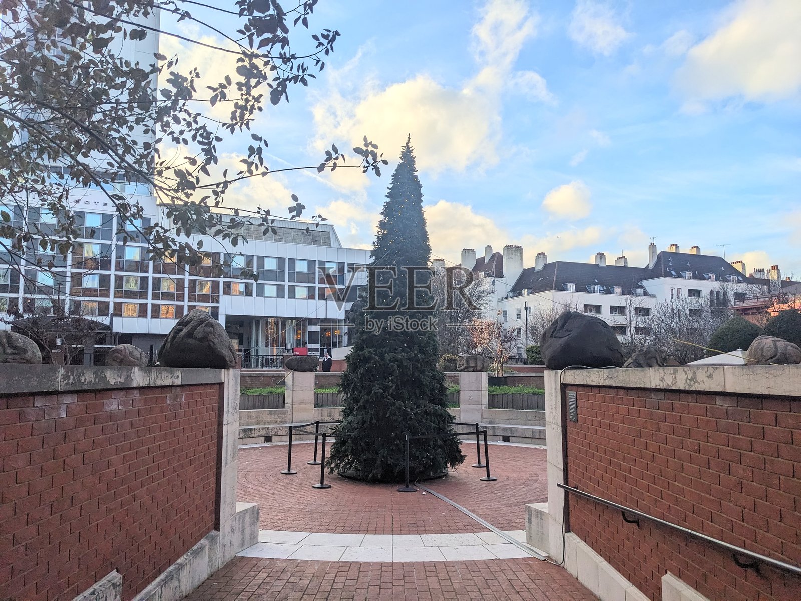 英国图书馆外节日气氛浓厚的圣诞树展示，现代与历史建筑环绕其中照片摄影图片