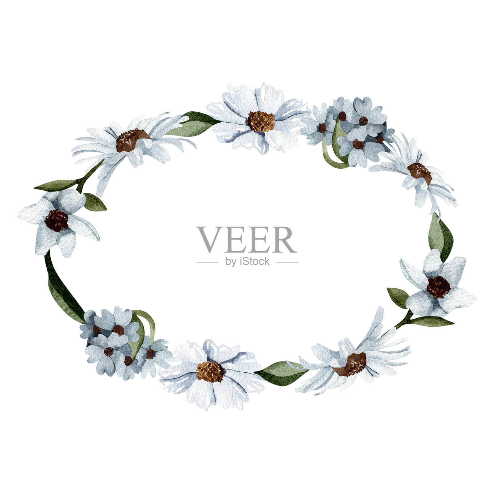 椭圆框内饰有蓝色的水彩花卉和绿叶，一幅野花的植物插画，一幅汇聚在一起的盛开花朵的自然图案。插画图片素材