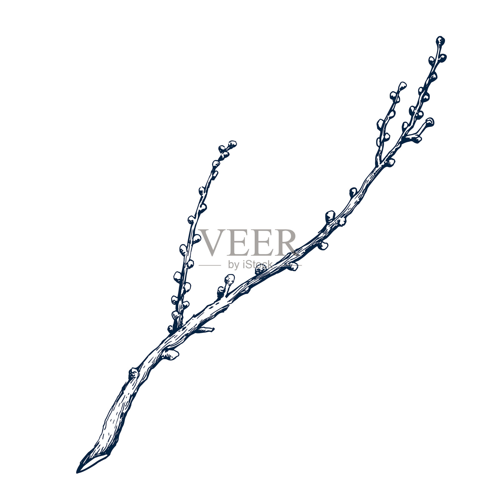 枯枝花环，无叶。植物手绘，孤立的矢量图。树木干枝草图，用于卡片设计、圣诞邀请函、海报、节日装饰的模板。雕刻风格插画图片素材