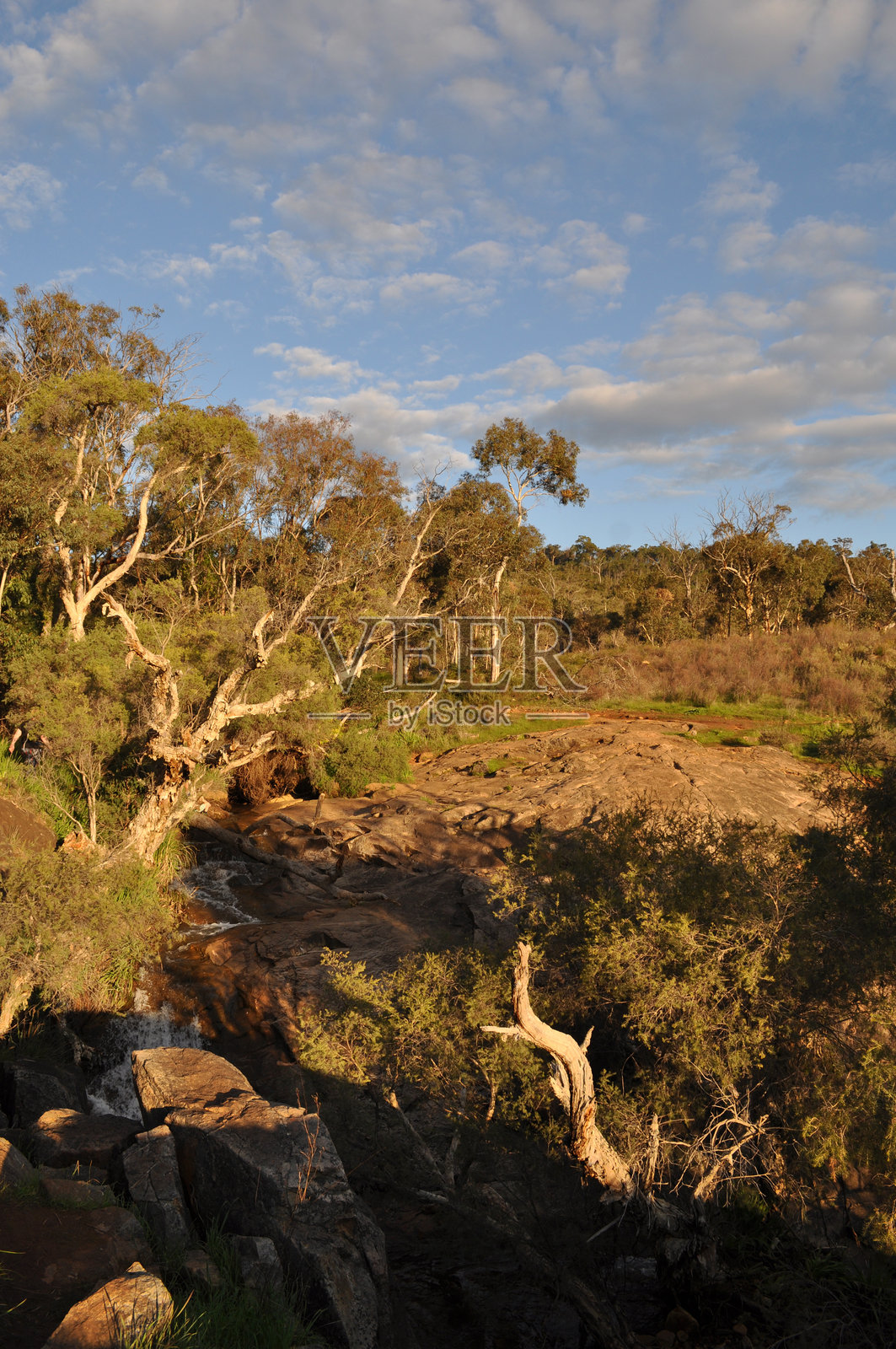 小溪与桉树，蒙迪地区公园，卡拉蒙达，西澳大利亚，澳大利亚照片摄影图片