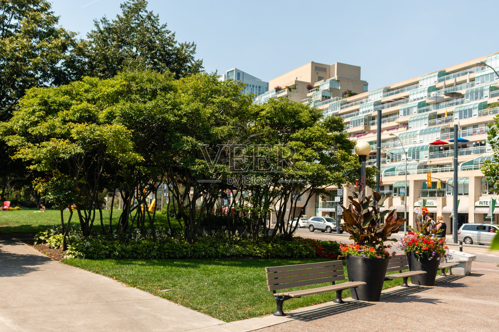 加拿大安大略省多伦多市皇后码头西街景及建筑照片摄影图片