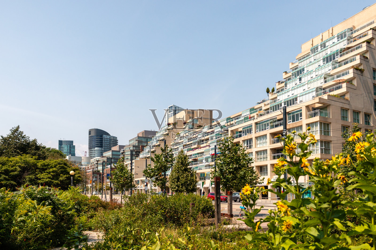 加拿大安大略省多伦多市皇后码头西街景及建筑照片摄影图片