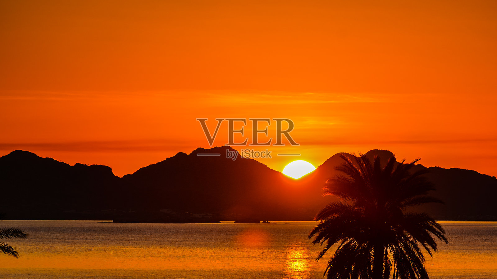 墨西哥索诺拉州圣卡洛斯山脉的日出照片摄影图片