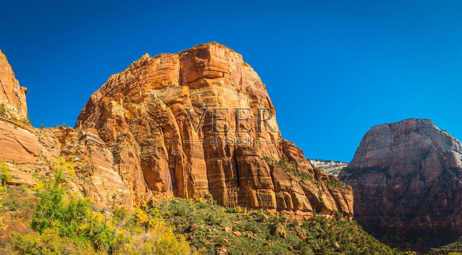 从峡谷下方仰望锡安国家公园天使降临的全景照片摄影图片