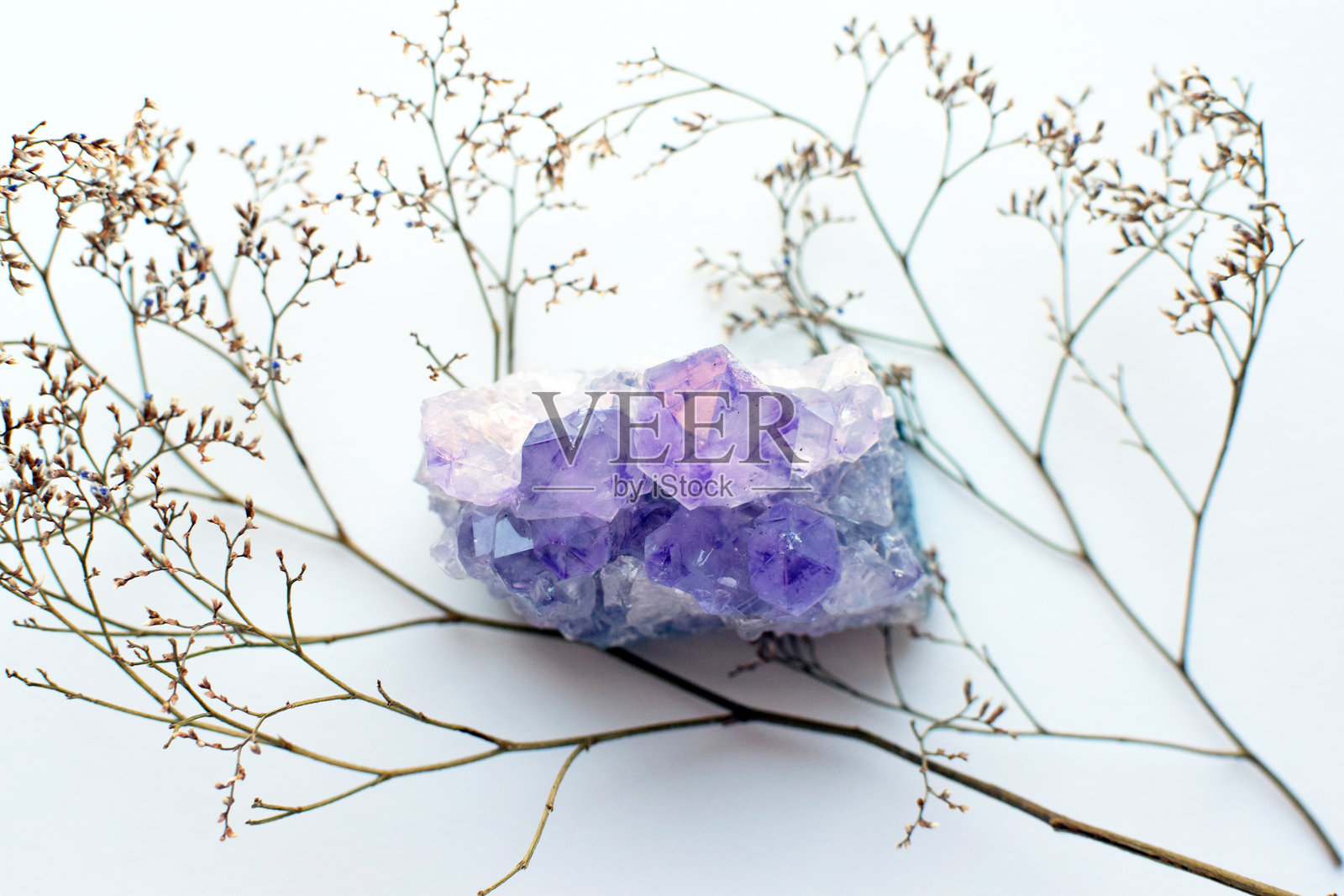 白色背景下，天然薰衣草紫水晶晶簇特写，带有干枯的树枝。紫色的水晶紫水晶共生体。照片摄影图片