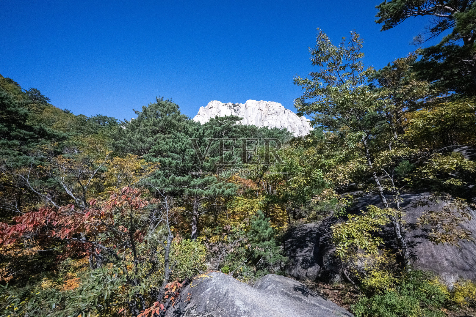 公园里的秋色照片摄影图片