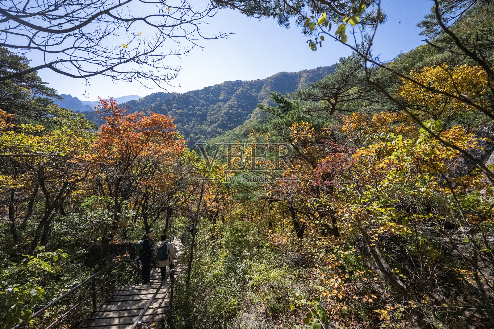 公园里的秋日色彩照片摄影图片