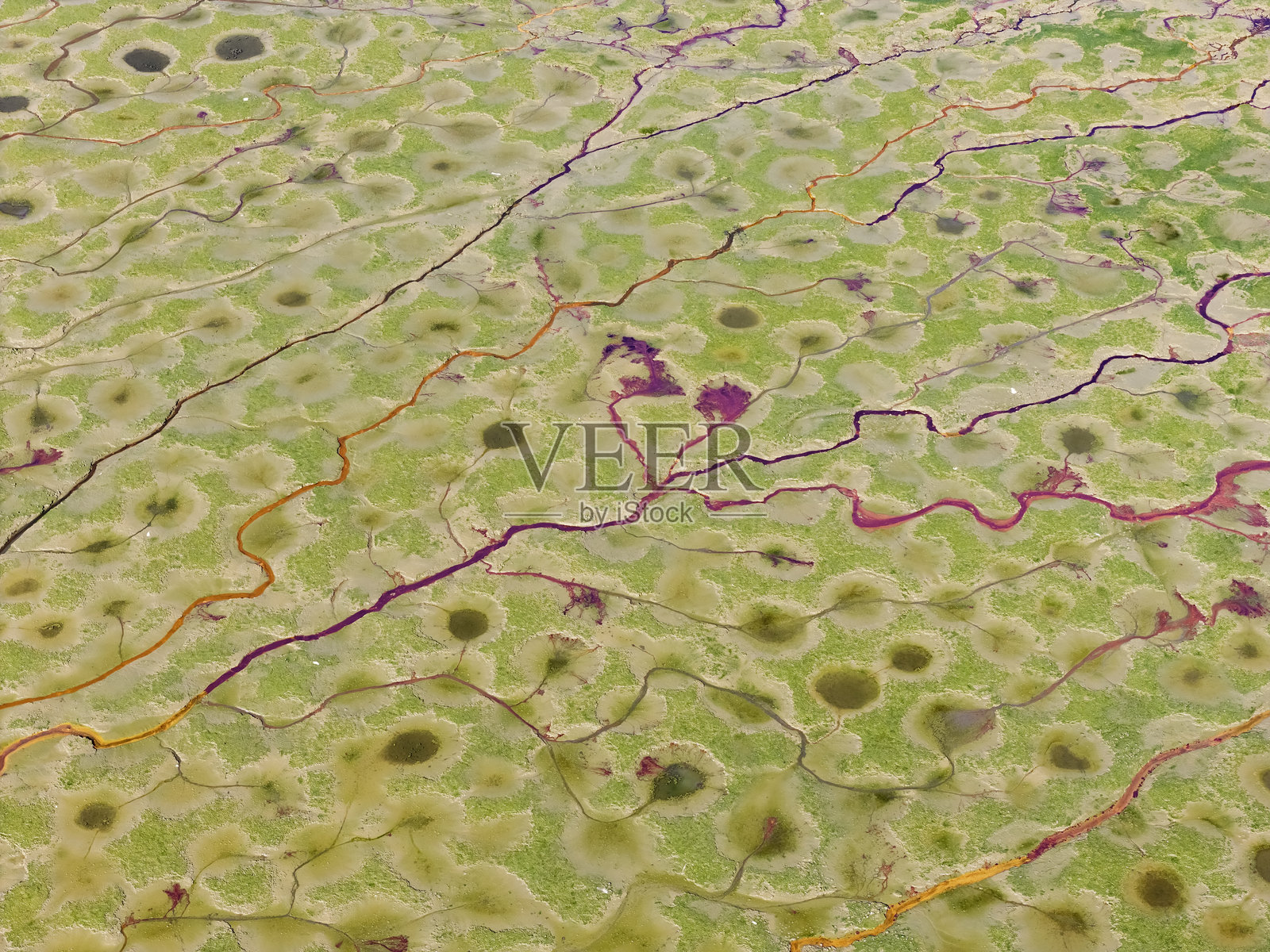 城市污水排放入湖，水污染，环境问题。照片摄影图片