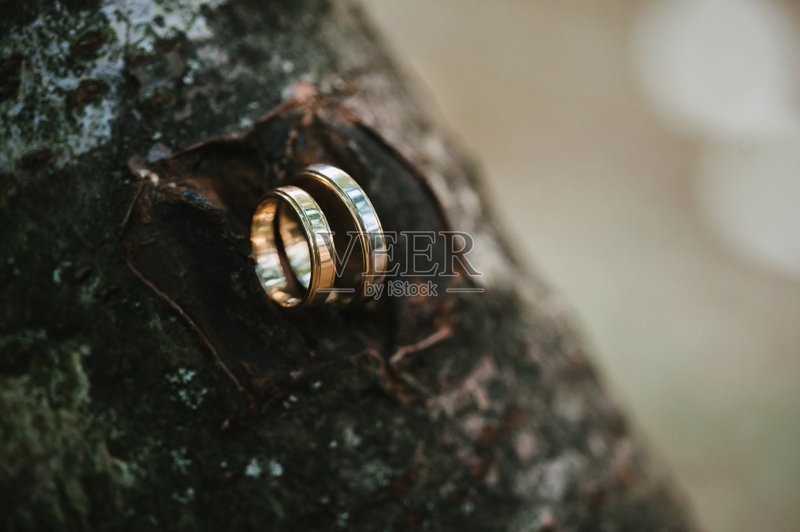 自然背景上的两枚结婚戒指照片摄影图片