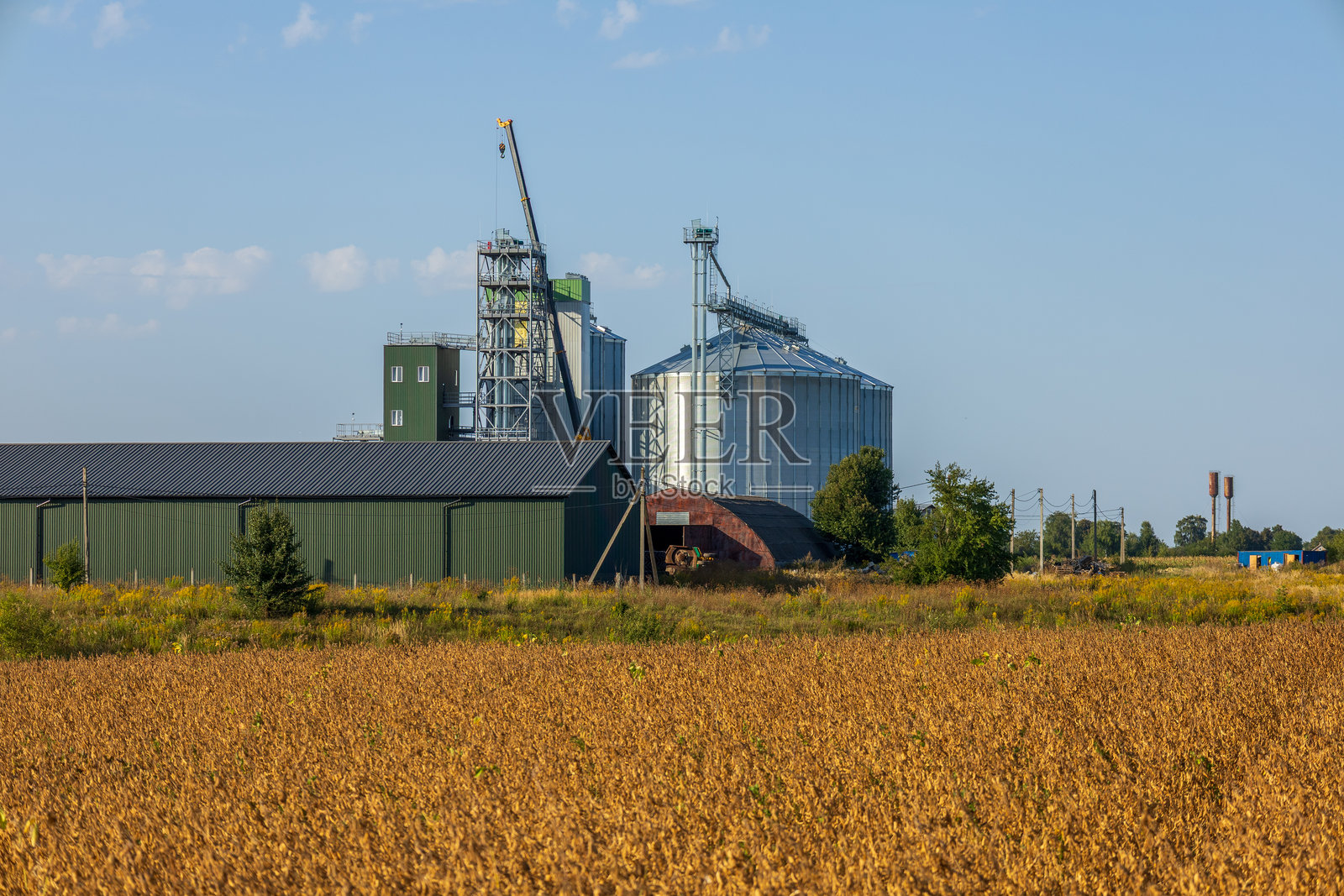谷仓和粮仓矗立在晴空下的谷物田野中。这些仓储设施支持当地的农业和谷物生产活动。照片摄影图片