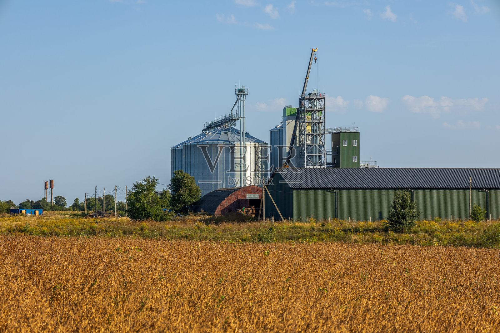 白天，农田周围环绕着谷仓、筒仓、农田和储罐。照片摄影图片