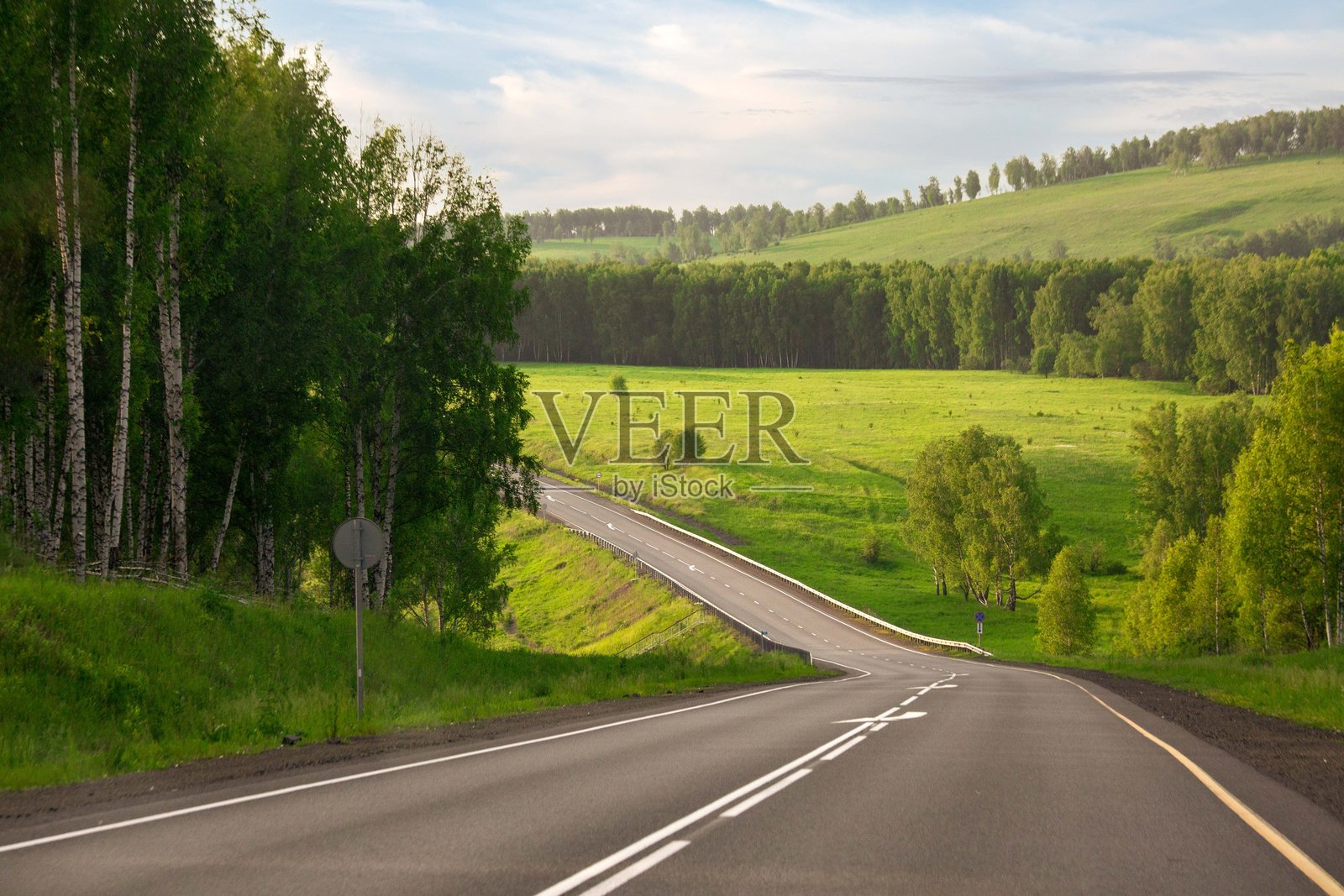 夏季，绿意盎然的森林中一条沥青路。照片摄影图片