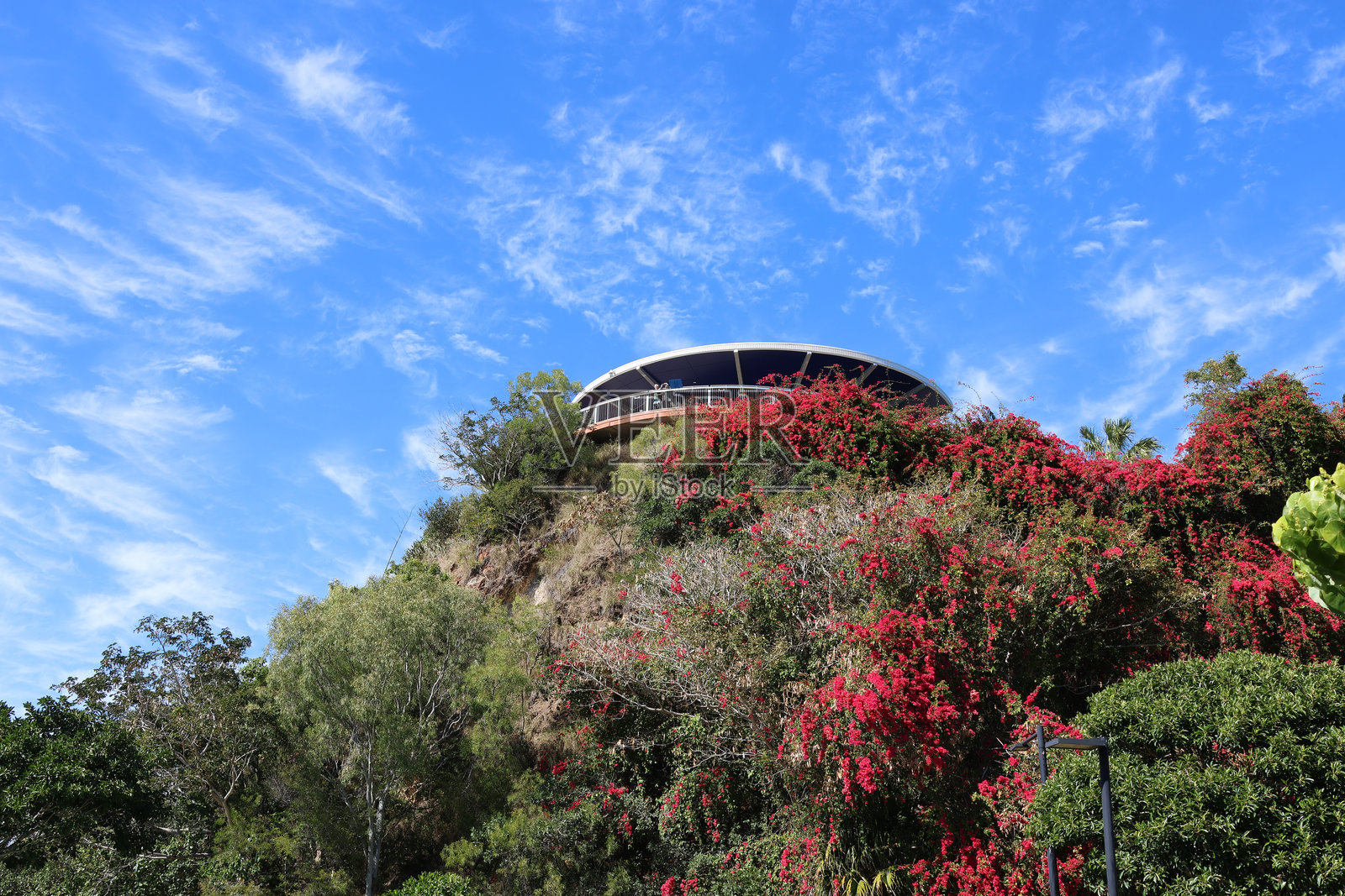 从下方仰视奥克兰山瞭望台，周围环绕着三角梅和树木，背景为澳大利亚昆士兰州格拉德斯通的蓝天。照片摄影图片
