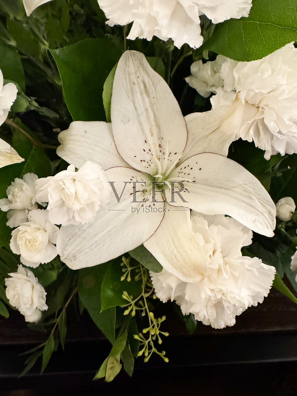 白色百合花特写照片摄影图片