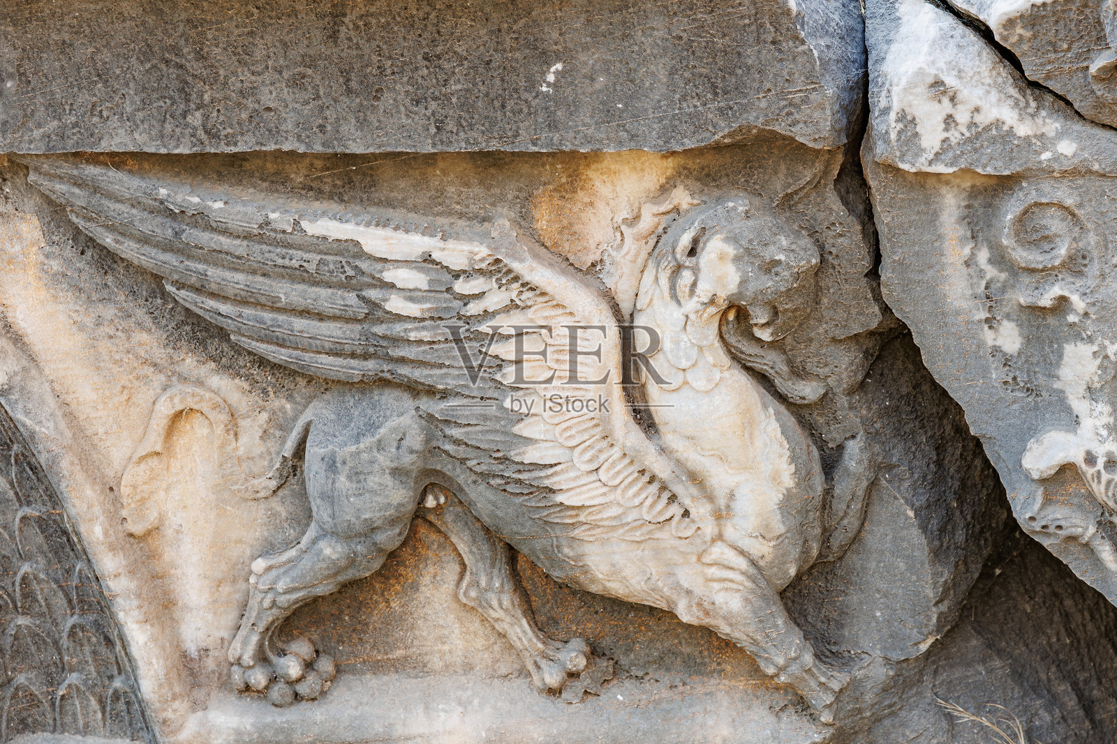 古老建筑上的古代石雕神话狮鹫照片摄影图片