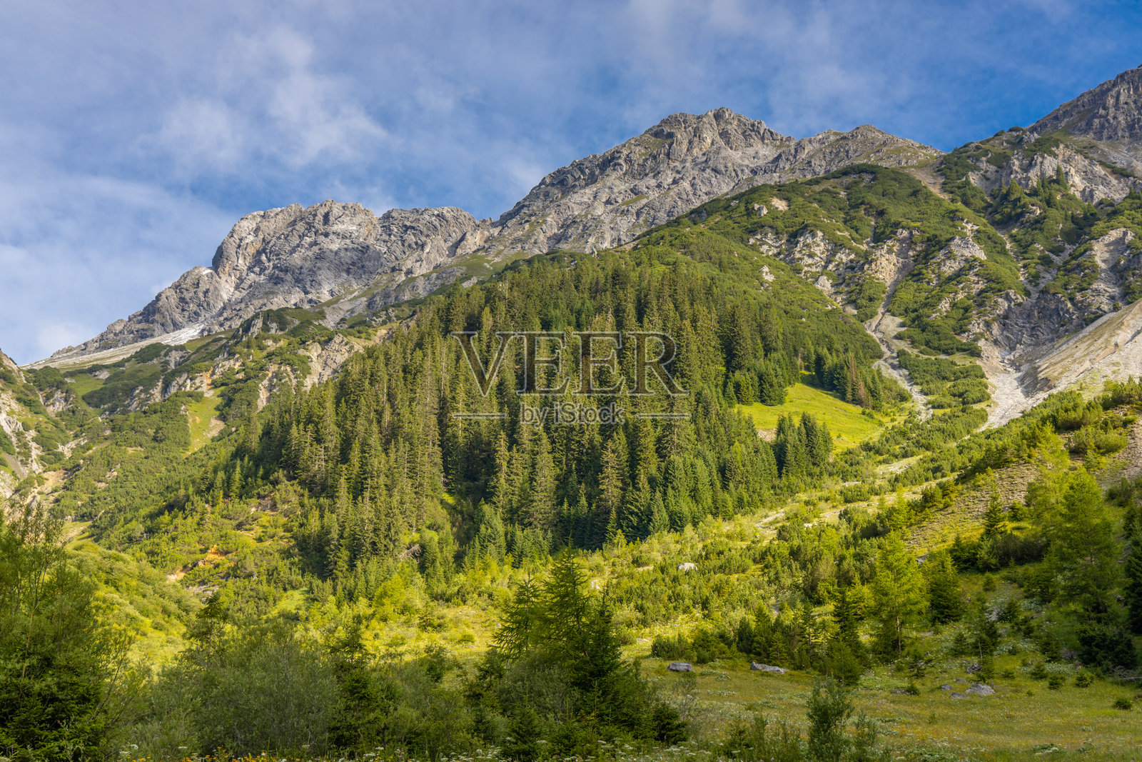 奥地利西部兰德克和扎姆斯阿尔卑斯山的山地景观，有陡峭的高山峰峦和森林覆盖的山坡照片摄影图片