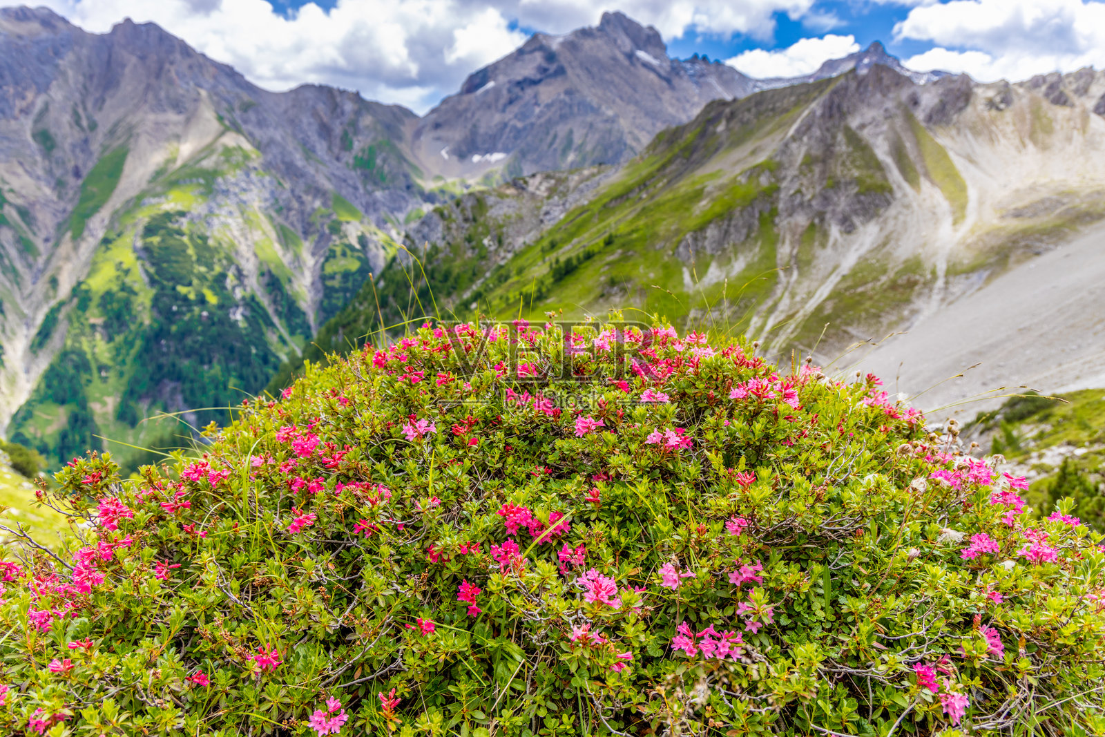 奥地利西部兰德克和扎姆斯阿尔卑斯山的山地景观，有陡峭的阿尔卑斯山峰和森林覆盖的山坡照片摄影图片