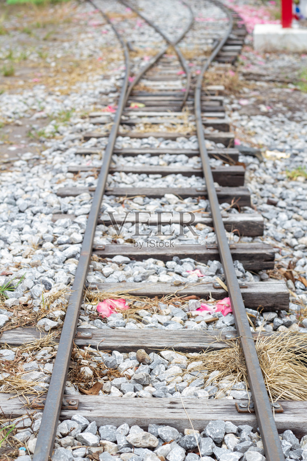 旧铁轨道岔，粉色花瓣散落在石子路基上，象征着选择与旅程。照片摄影图片