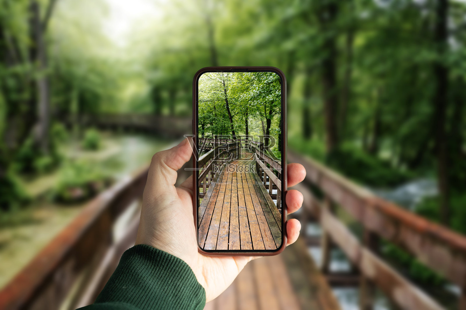 穿过木桥的森林小径照片照片摄影图片