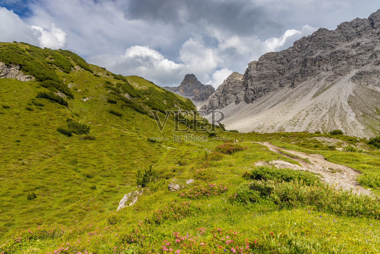 奥地利西部兰德克和扎姆斯阿尔卑斯山的山地景观，有陡峭的阿尔卑斯山峰和森林覆盖的山坡照片摄影图片