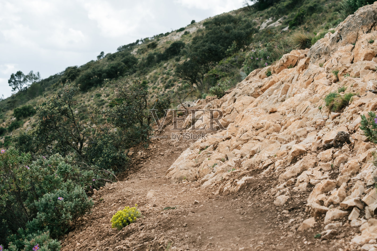 风景优美的岩石小径蜿蜒穿过郁郁葱葱的绿色山峦，天气阴沉照片摄影图片