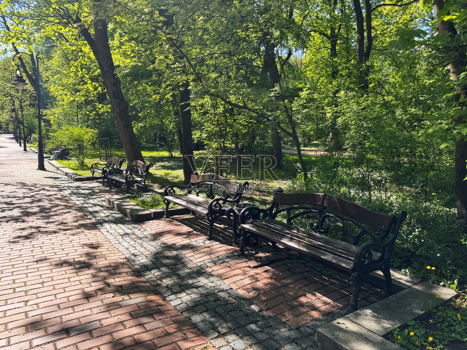 春日公园长椅风光照片摄影图片