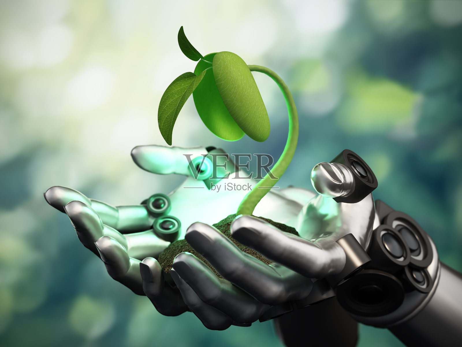 机械手捧着带有泥土的绿色嫩芽，象征着自然与科技的连接照片摄影图片
