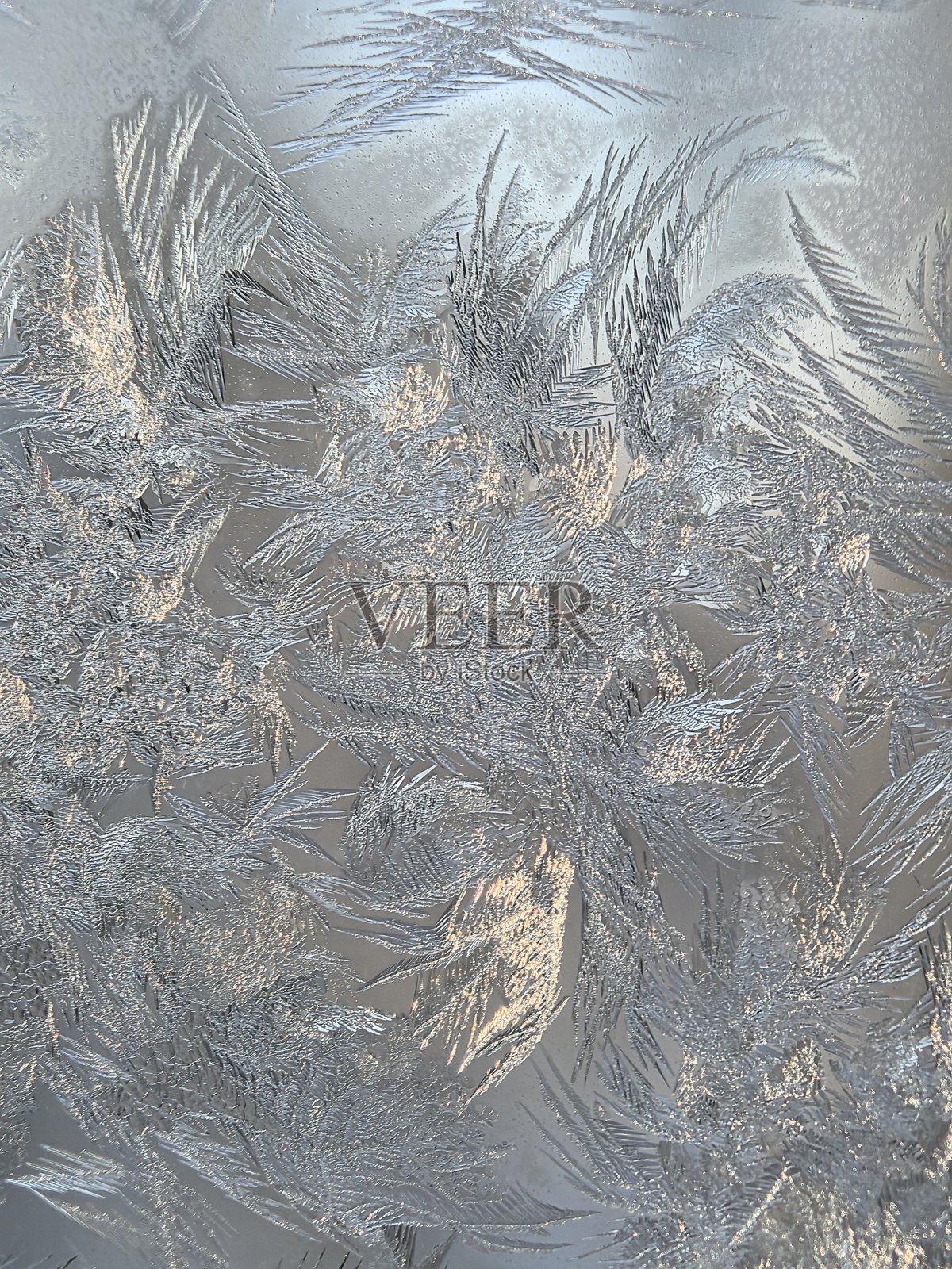 霜花图案，玻璃图案，霜，结冰的玻璃，窗户上的霜花图案，雪的特写，雪的微距摄影，美丽的雪花照片，美丽的雪景照片，雪背景纹理，白色背景，雪花的特写，美丽的冬季照片摄影图片