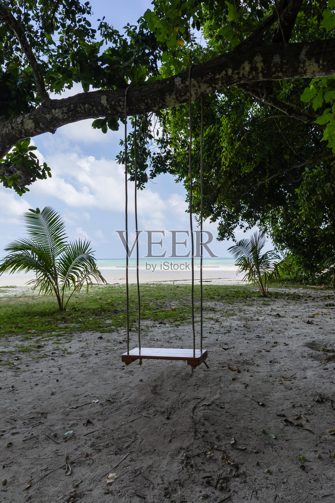 热带海滨秋千，可观赏海景和葱郁的绿叶照片摄影图片