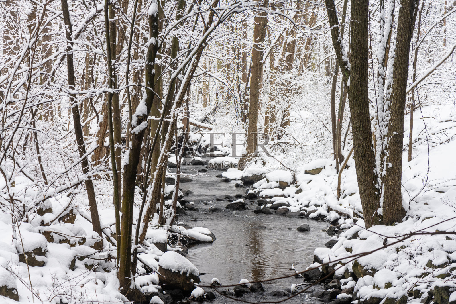 新泽西州马瓦市，雪景与树林环绕的风景优美的冬日溪流照片摄影图片