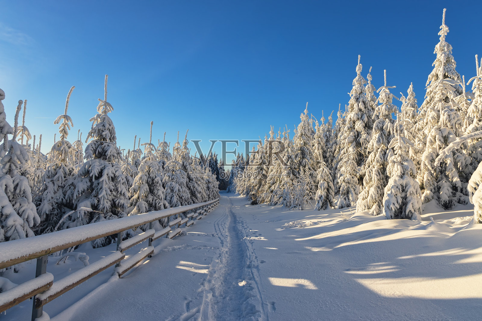 覆盖着厚厚积雪的美丽冬季森林，冬季户外背景照片摄影图片