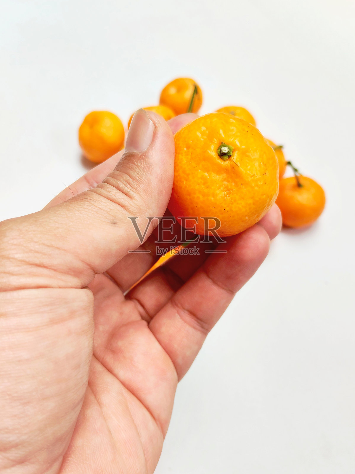 新鲜采摘的正宗三糖蜜桔照片摄影图片