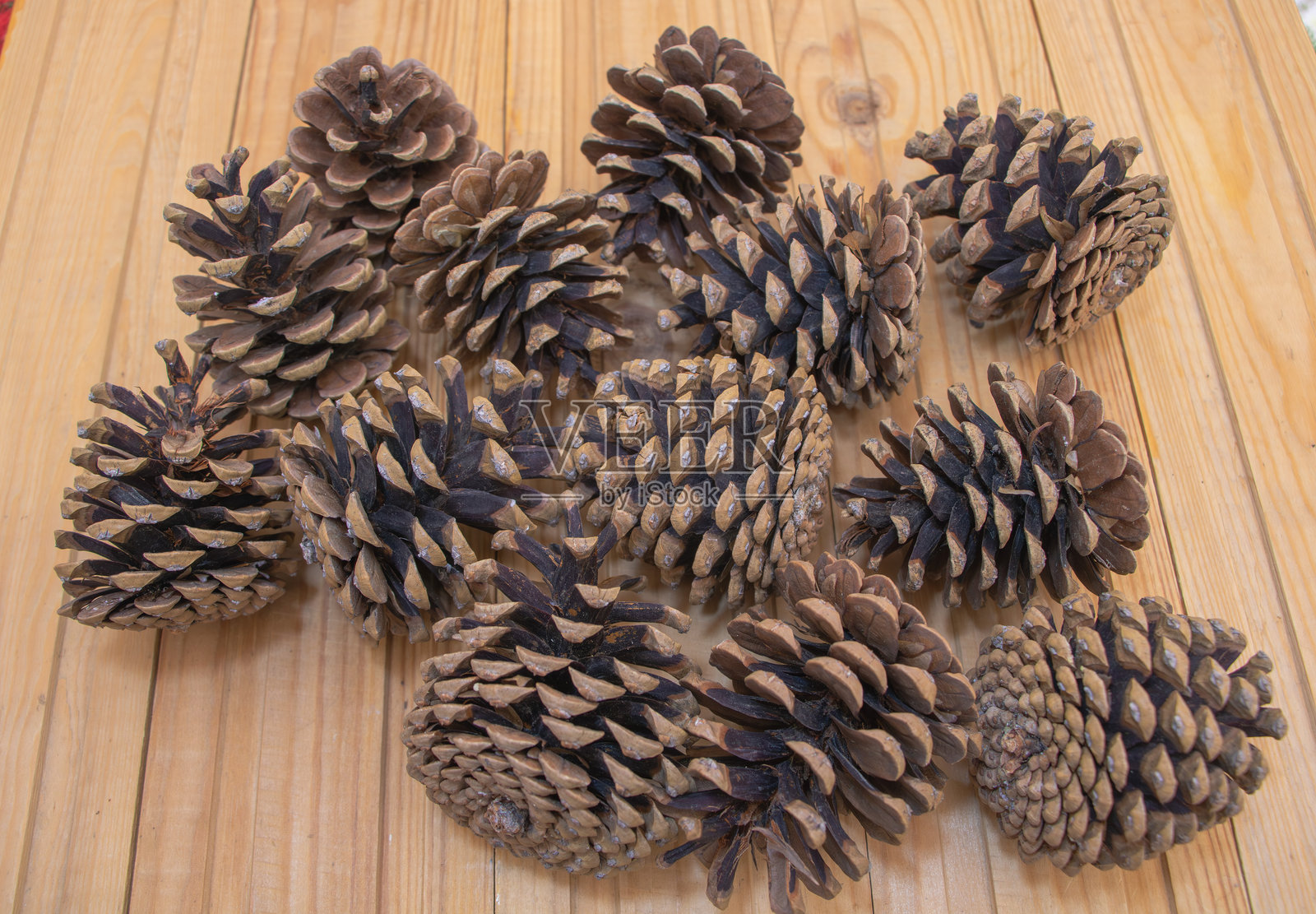 原木表面上摆放的天然松果，质朴的森林装饰和有机纹理背景照片摄影图片