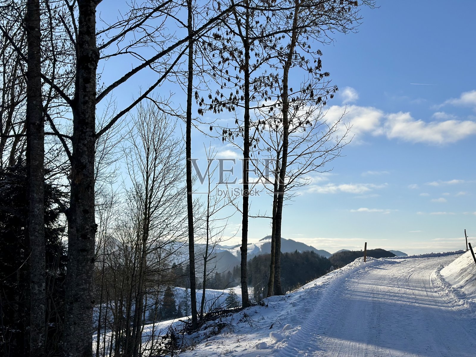 冬季照片摄影图片