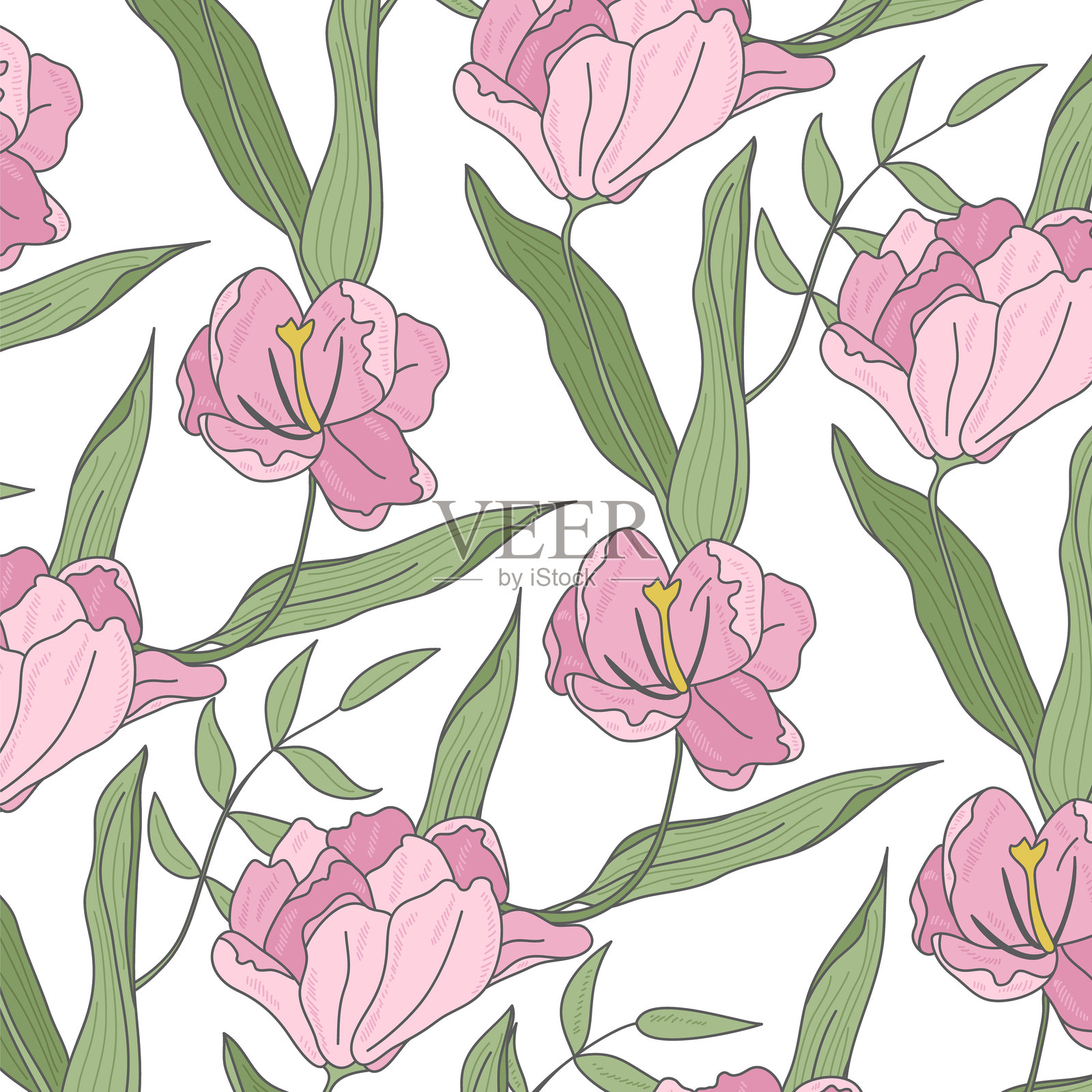 优雅线条花卉与彩色背景元素集2插画图片素材